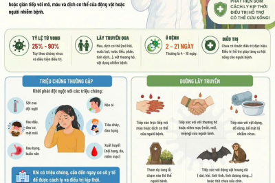 BẢO VỆ SỨC KHỎE VỚI BỆNH DO VIRUT EBOLA VÀ PHÒNG CHỐNG XÂM HẠI TRẺ EM